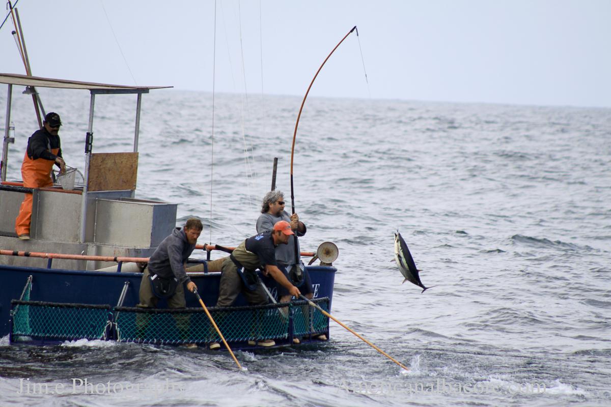 Poleandline Sourcing Transparency Platform